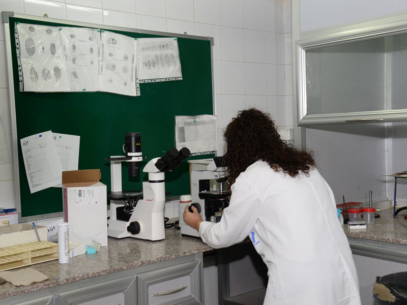 laboratory